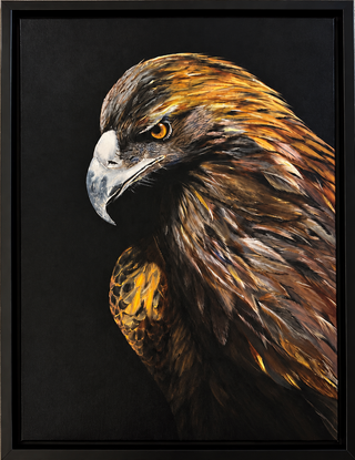 النسر The Eagle