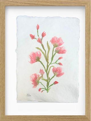 Delicacy of springs