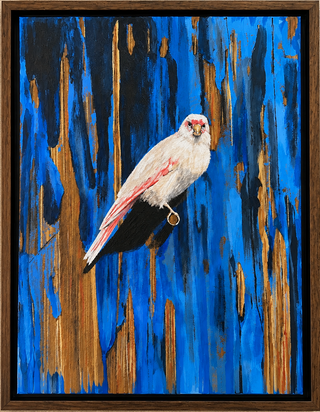 الطير الأبيض The White Bird