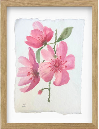 Soft Petal Symphony
