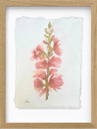 Whispers in Bloom