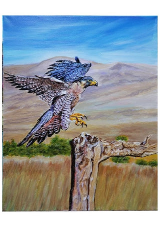 The Saker falcon