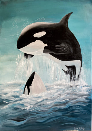 Orca Whales